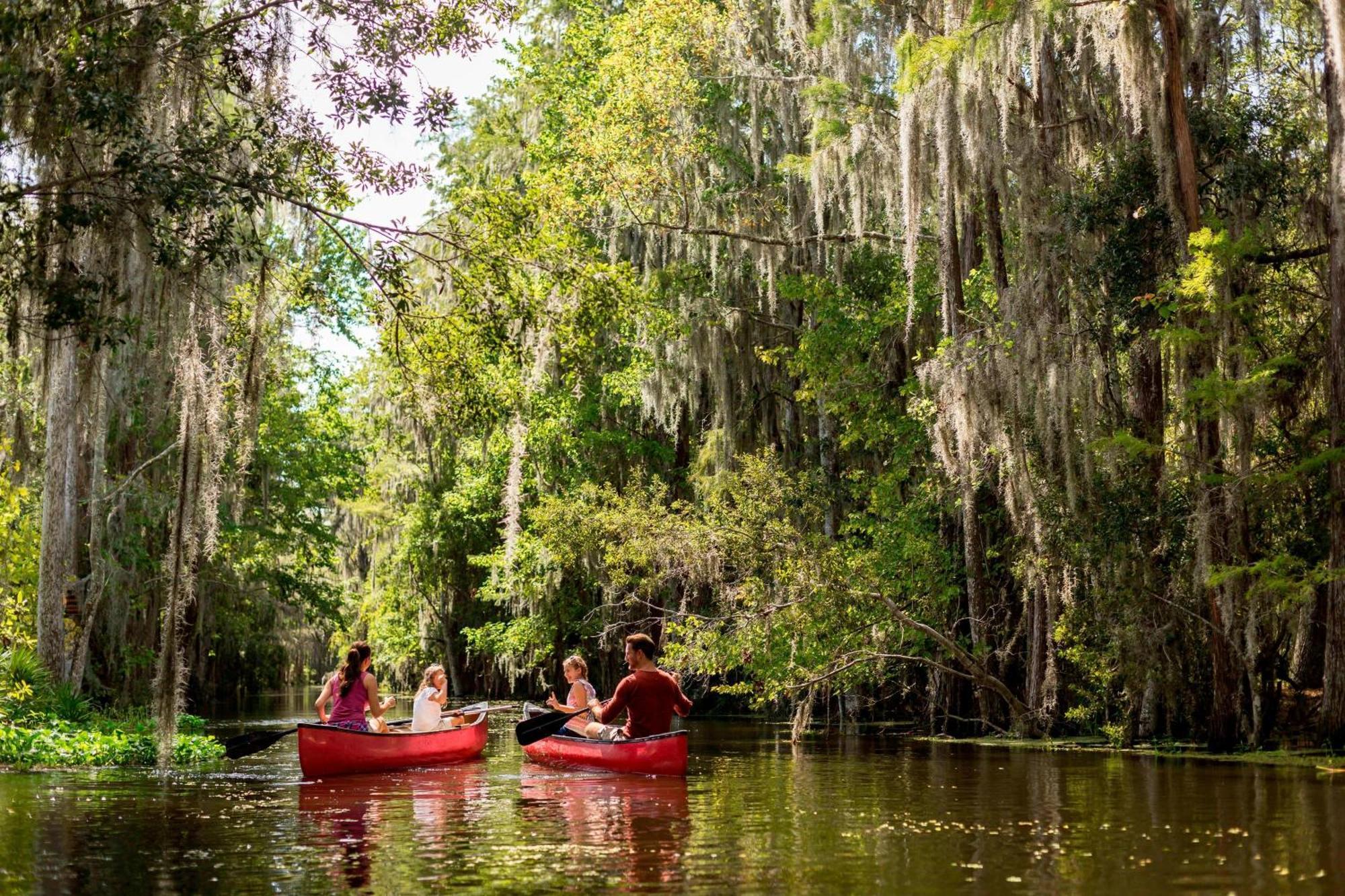 Jw Marriott Orlando Grande Lakes Williamsburg Kültér fotó