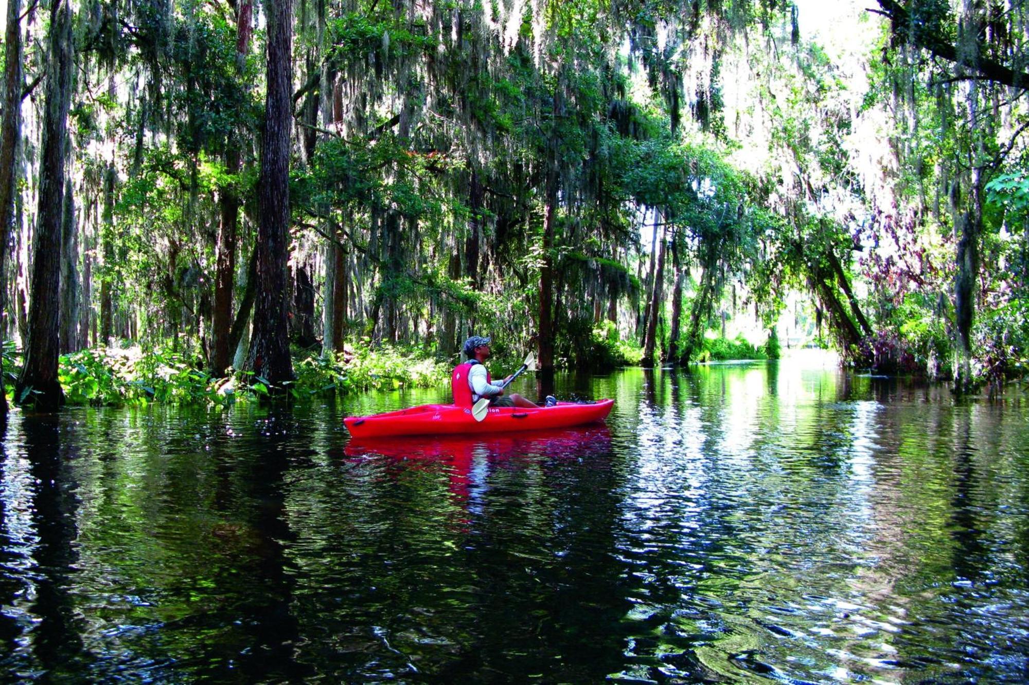 Jw Marriott Orlando Grande Lakes Williamsburg Kültér fotó