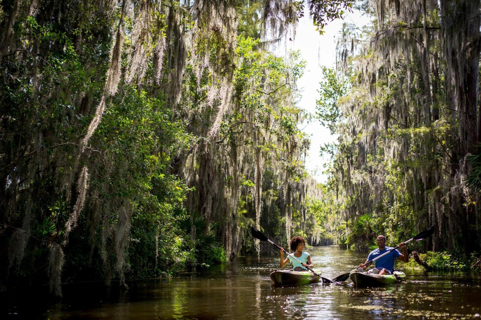 Jw Marriott Orlando Grande Lakes Williamsburg Kültér fotó